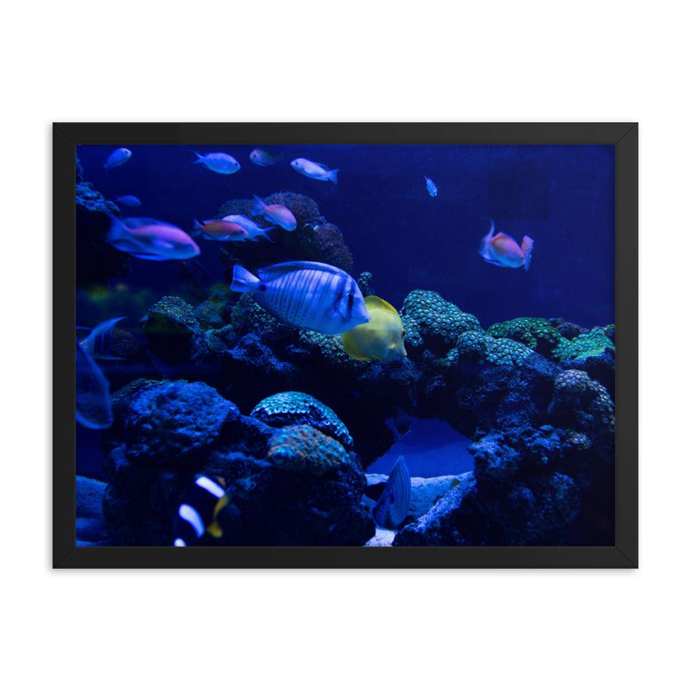 Blue Deep Framed Poster - Elegant and Serene Wall Art 2024