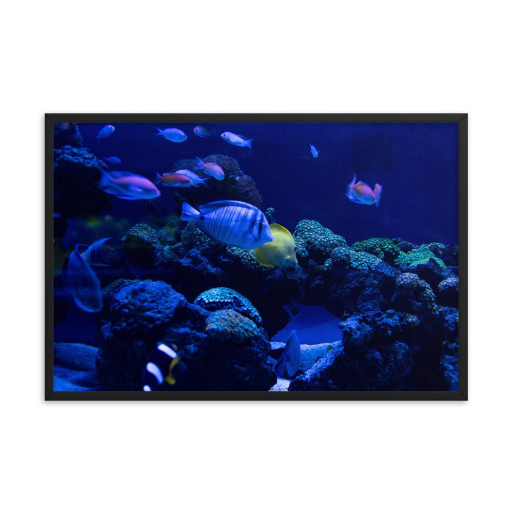 Blue Deep Framed Poster - Elegant and Serene Wall Art 2024