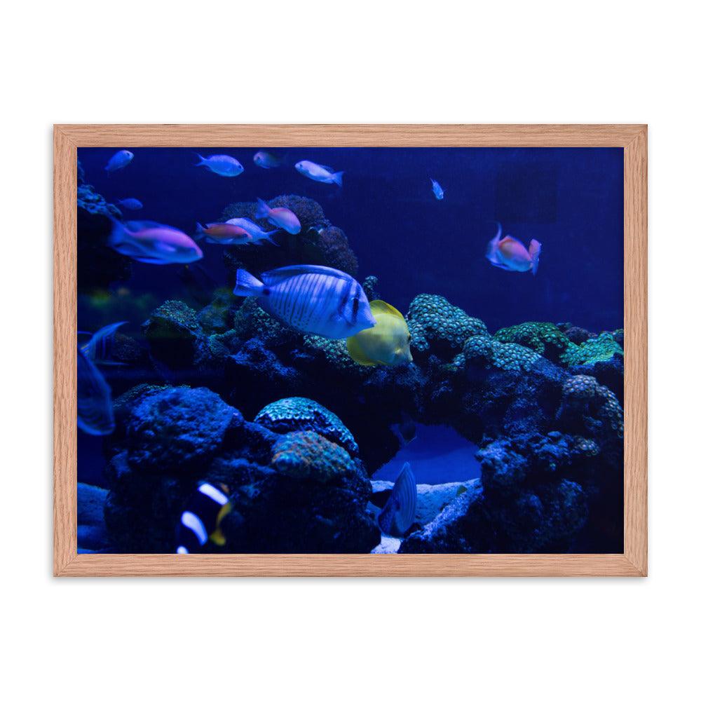 Blue Deep Framed Poster - Elegant and Serene Wall Art 2024