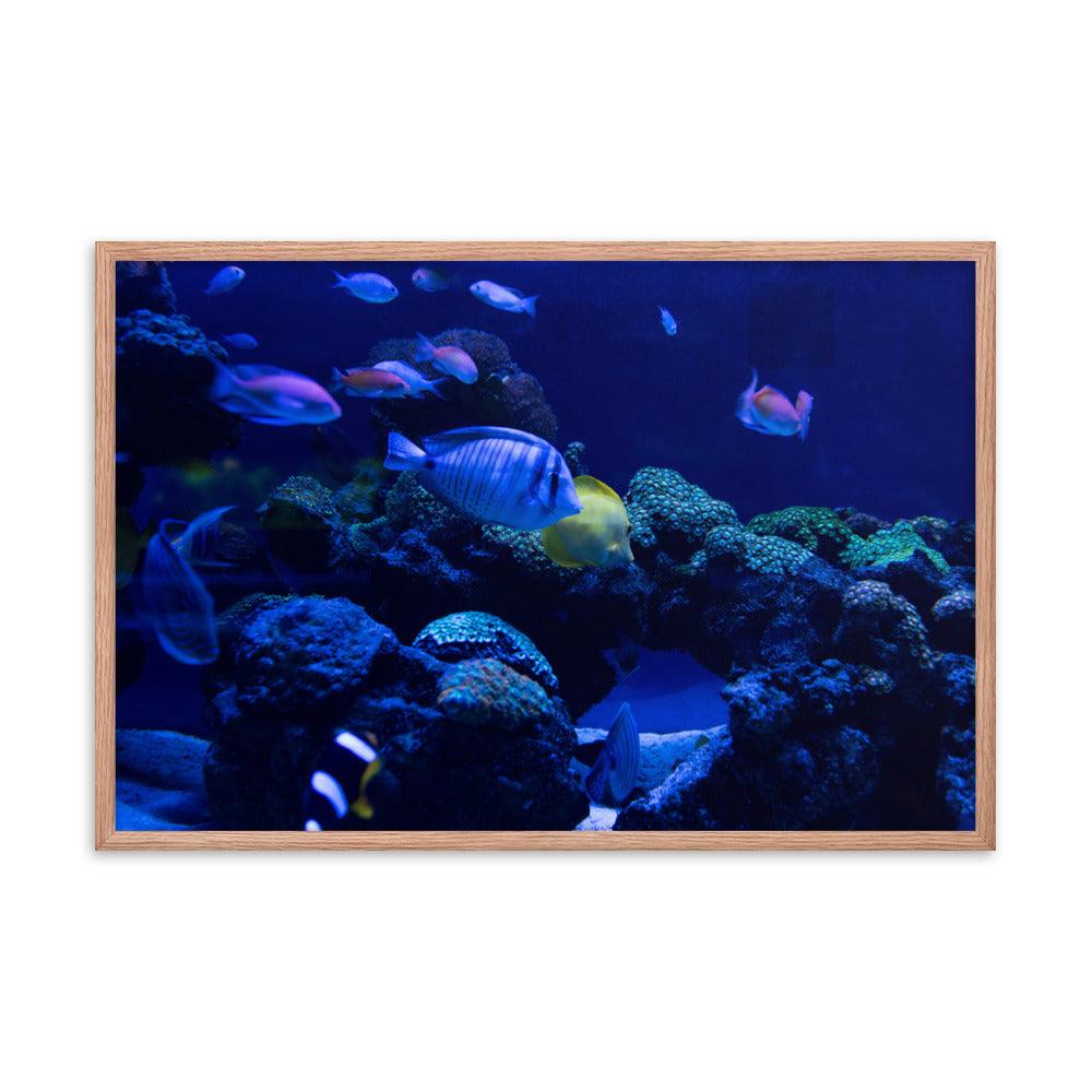 Blue Deep Framed Poster - Elegant and Serene Wall Art 2024