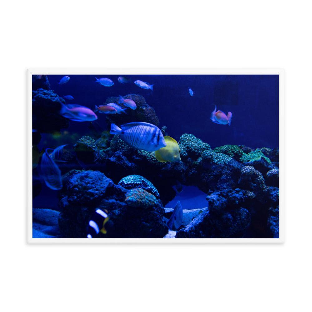 Blue Deep Framed Poster - Elegant and Serene Wall Art 2024